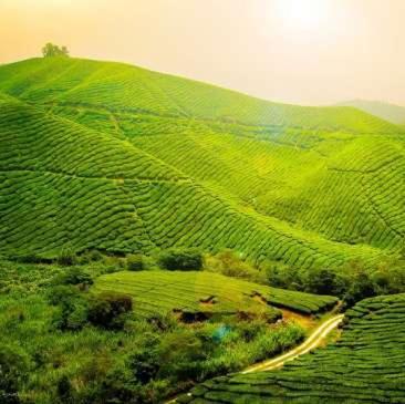 Hotel Garden Reach Kalimpong Exteriör bild